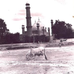 Badshahi Mosque (Vintage)